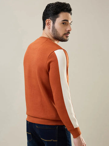 Bombay Brown Sweatshirt - Tim Paris