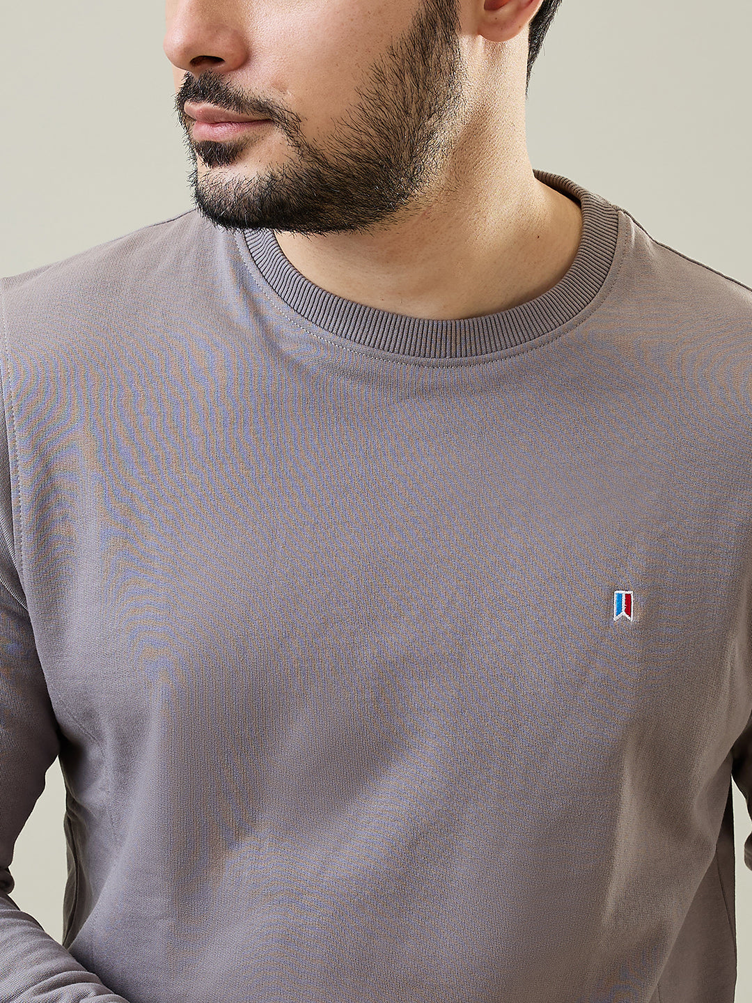 Grey Solid Regular Fit Sweatshirt