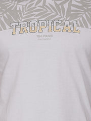 Grey Printed Regular Fit T-Shirt