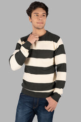 Men's Round Neck Pullover Stylish and Comfortable for Winterwear