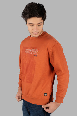 Brown Round Neck Sweatshirt Tim Paris