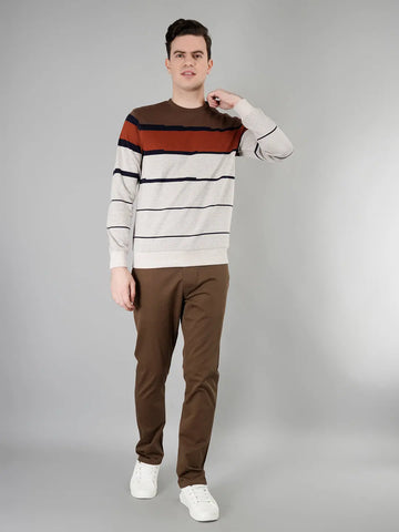 Brown Solid Regular Fit Chinos Tim Paris