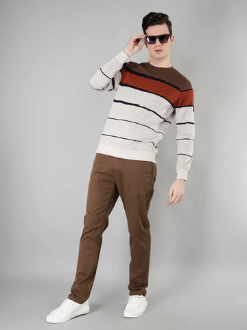 Brown Solid Regular Fit Chinos Tim Paris