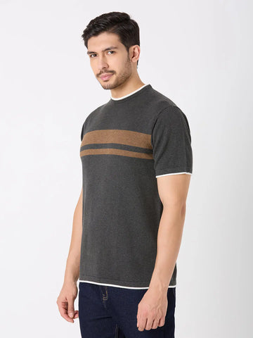 Grey Solid Regular Fit Knit T-Shirt TIM PARIS