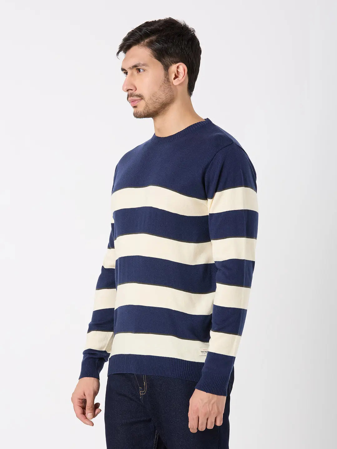Dress Blue Solid Regular Fit Pullovers TIM PARIS